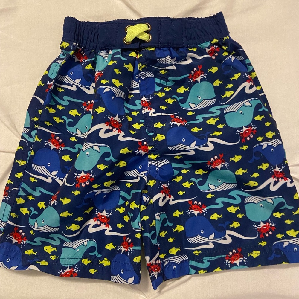 Quad Seven Boys Striped Swim Trunks/Bottoms